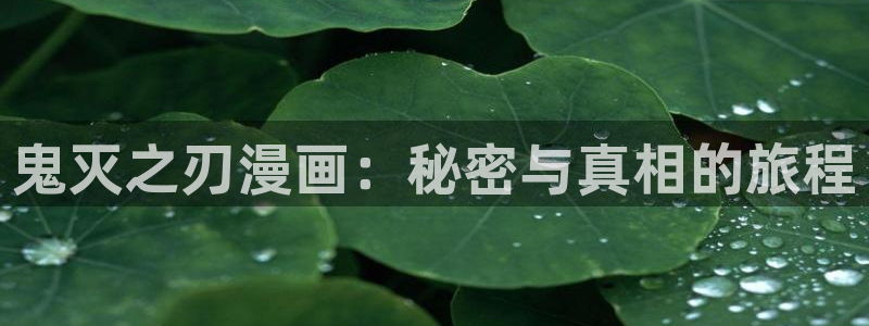 行业资讯