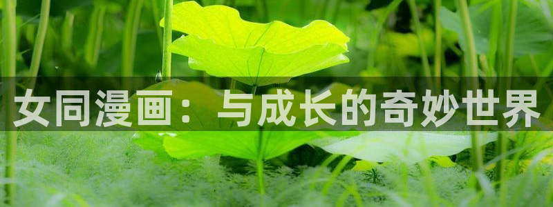 行业资讯