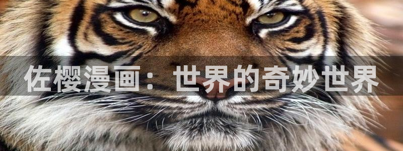 行业资讯